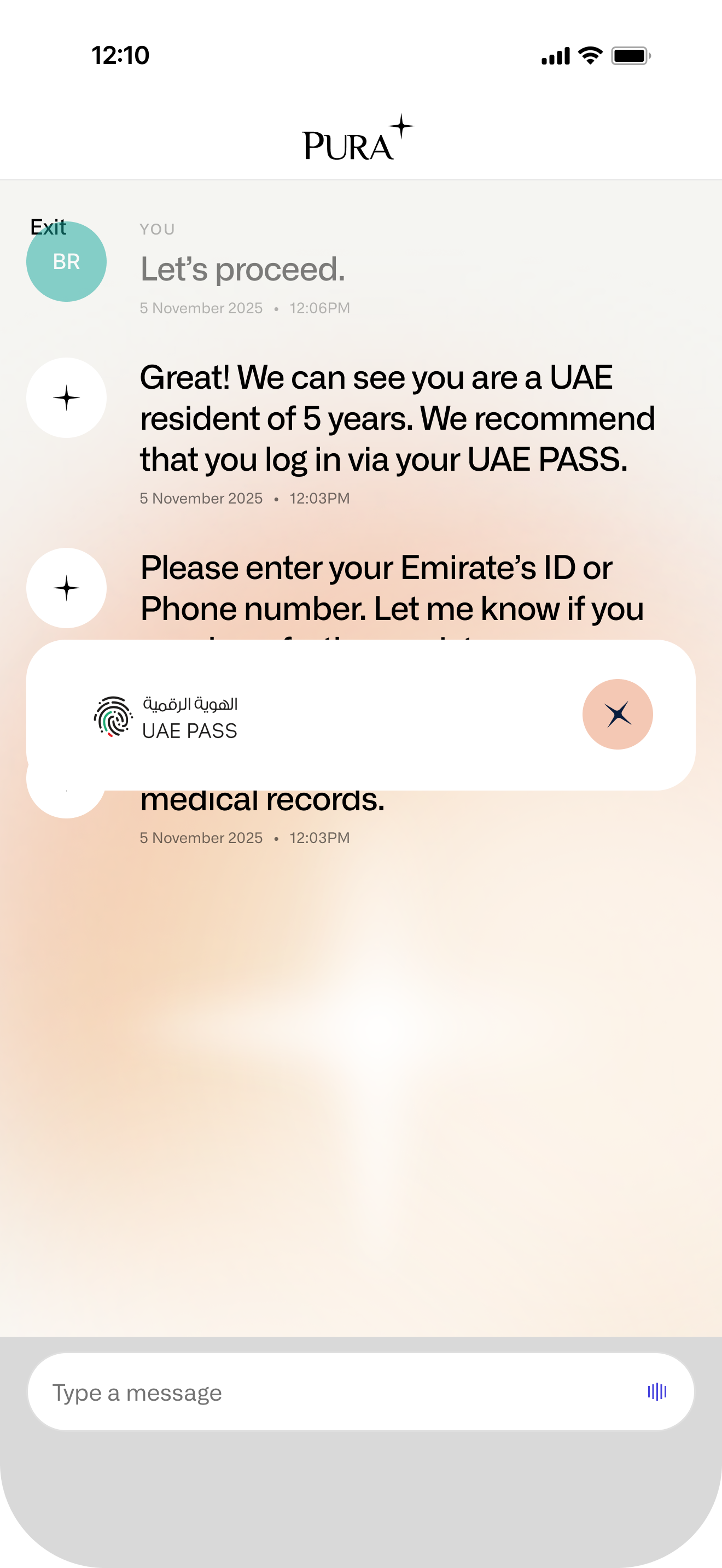 UAE PASS Modal — Loading 2